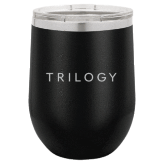 Polar Camel 12 oz. Vacuum Insulated Stemless Tumbler w/Lid